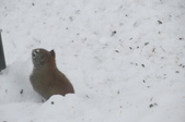 Enlarge photo 30