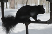 Enlarge photo 34
