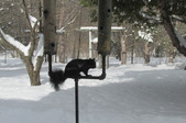 Enlarge photo 35