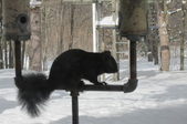 Enlarge photo 36