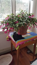 Enlarge photo 4