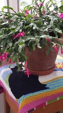 Enlarge photo 5