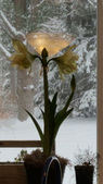 Enlarge photo 25