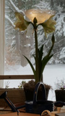 Enlarge photo 26