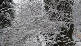 Enlarge photo 1