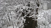 Enlarge photo 2