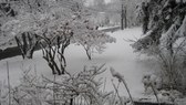 Enlarge photo 3