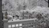 Enlarge photo 5