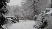 Enlarge photo 15