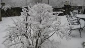 Enlarge photo 17