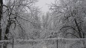 Enlarge photo 19