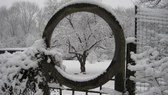 February snow
