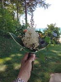 Enlarge photo 28