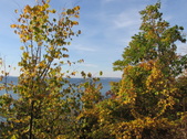 Enlarge photo 28