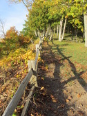 Enlarge photo 30