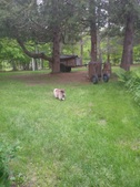 Enlarge photo 5