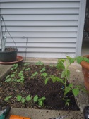 Enlarge photo 13