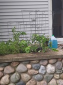Enlarge photo 18