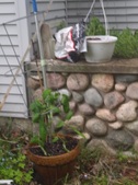 Enlarge photo 19
