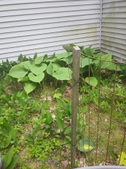 Enlarge photo 24