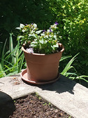 Enlarge photo 10
