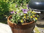 Enlarge photo 11