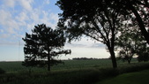 Enlarge photo 35