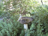 Enlarge photo 17