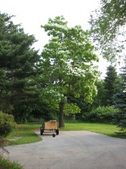 July 2011
