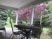 Enlarge photo 24