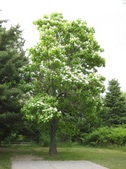 Enlarge photo 26