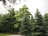 Enlarge photo 27