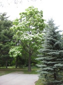 Enlarge photo 28