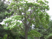 Enlarge photo 30