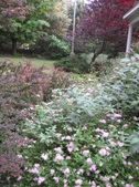Enlarge photo 34
