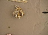 Enlarge photo 42