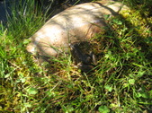 July 2012