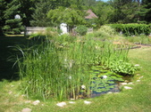 Enlarge photo 7