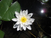 Enlarge photo 13