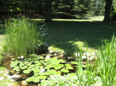 Enlarge photo 20