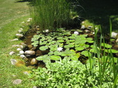 Enlarge photo 21