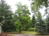 Enlarge photo 24