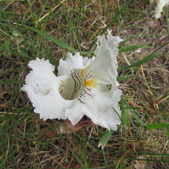 Enlarge photo 18