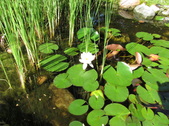 Enlarge photo 2