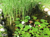 Enlarge photo 7