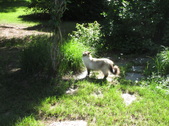 Enlarge photo 11