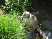 Enlarge photo 13