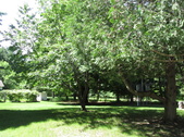 Enlarge photo 26