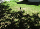 Enlarge photo 28