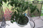 Enlarge photo 16